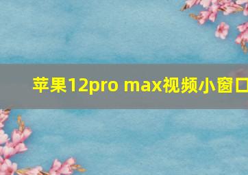 苹果12pro max视频小窗口