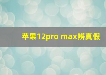 苹果12pro max辨真假