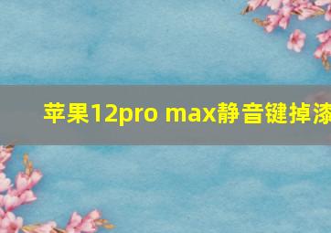 苹果12pro max静音键掉漆