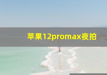 苹果12promax夜拍