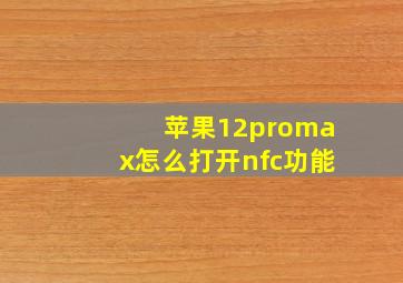 苹果12promax怎么打开nfc功能