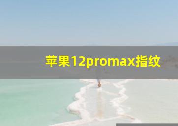 苹果12promax指纹