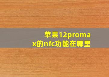 苹果12promax的nfc功能在哪里