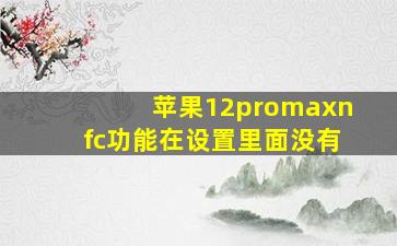 苹果12promaxnfc功能在设置里面没有