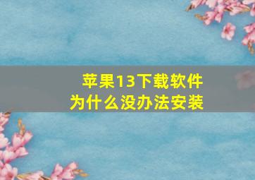 苹果13下载软件为什么没办法安装