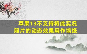 苹果13不支持将此实况照片的动态效果用作墙纸