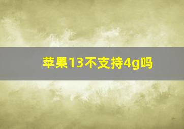 苹果13不支持4g吗