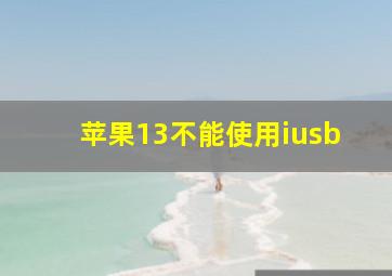 苹果13不能使用iusb