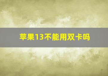 苹果13不能用双卡吗