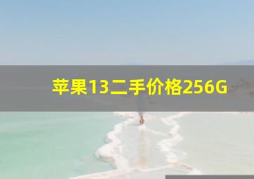 苹果13二手价格256G