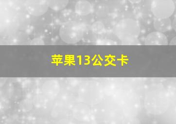 苹果13公交卡