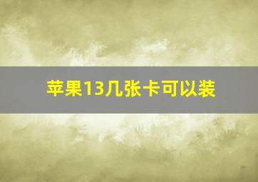 苹果13几张卡可以装