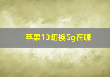 苹果13切换5g在哪