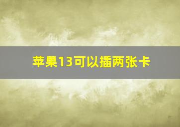 苹果13可以插两张卡