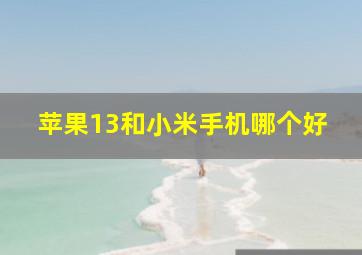 苹果13和小米手机哪个好