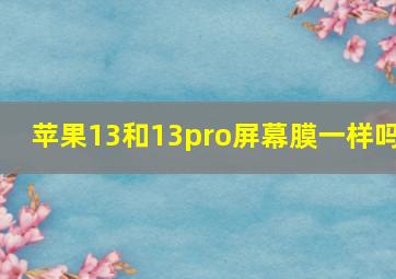 苹果13和13pro屏幕膜一样吗