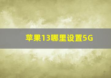 苹果13哪里设置5G