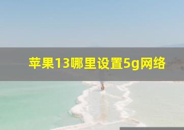 苹果13哪里设置5g网络