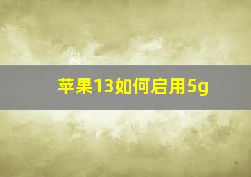 苹果13如何启用5g