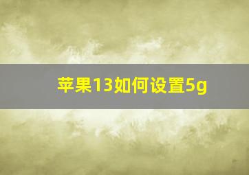 苹果13如何设置5g