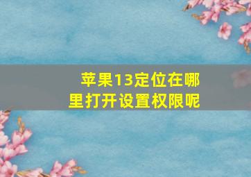 苹果13定位在哪里打开设置权限呢