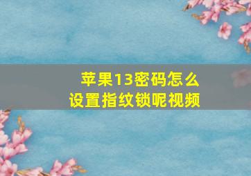 苹果13密码怎么设置指纹锁呢视频