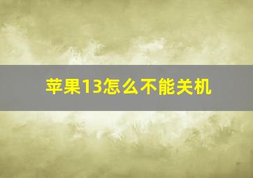 苹果13怎么不能关机