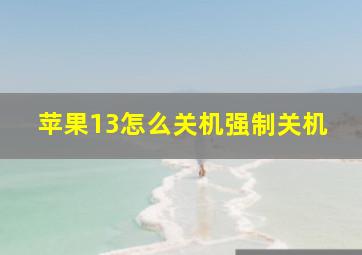 苹果13怎么关机强制关机