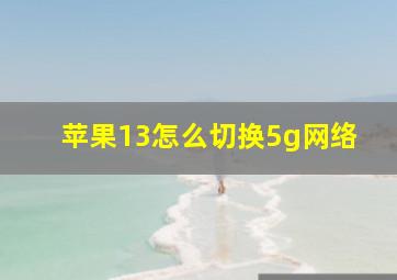 苹果13怎么切换5g网络