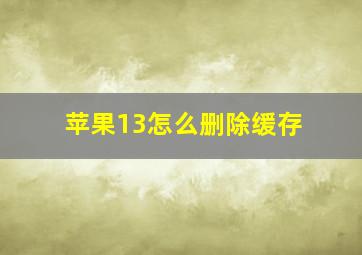 苹果13怎么删除缓存