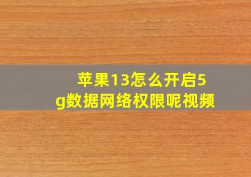 苹果13怎么开启5g数据网络权限呢视频