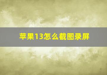 苹果13怎么截图录屏