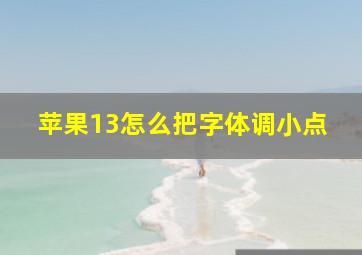 苹果13怎么把字体调小点