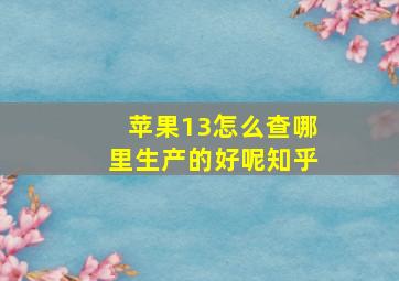 苹果13怎么查哪里生产的好呢知乎