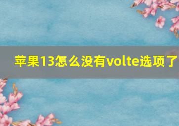 苹果13怎么没有volte选项了