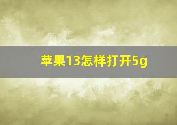 苹果13怎样打开5g