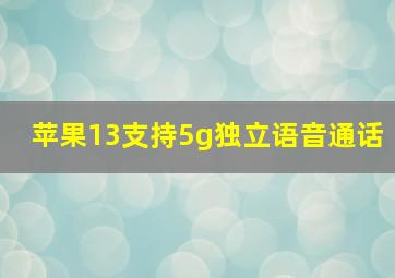 苹果13支持5g独立语音通话