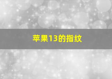 苹果13的指纹