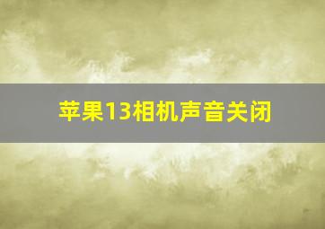 苹果13相机声音关闭