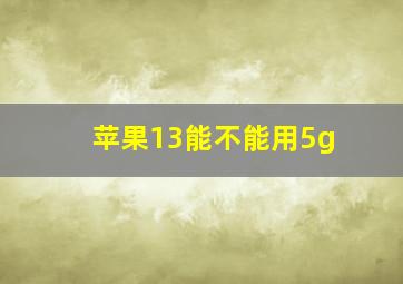 苹果13能不能用5g