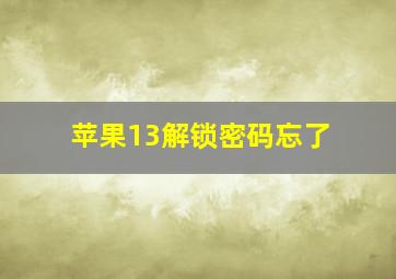 苹果13解锁密码忘了