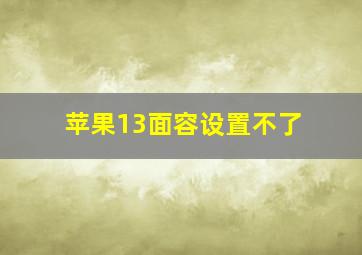 苹果13面容设置不了