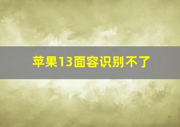 苹果13面容识别不了