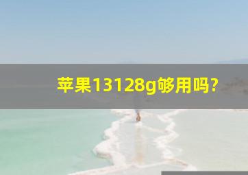 苹果13128g够用吗?