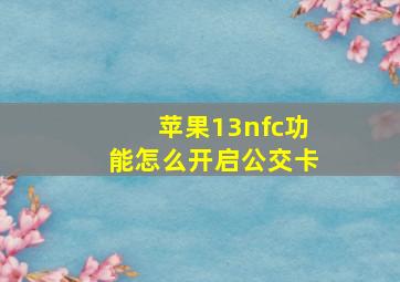 苹果13nfc功能怎么开启公交卡