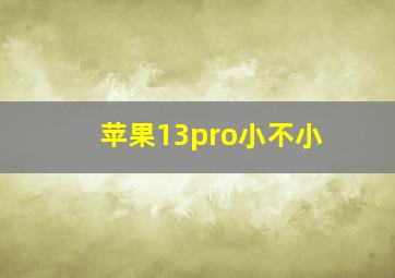 苹果13pro小不小