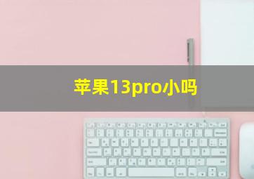 苹果13pro小吗