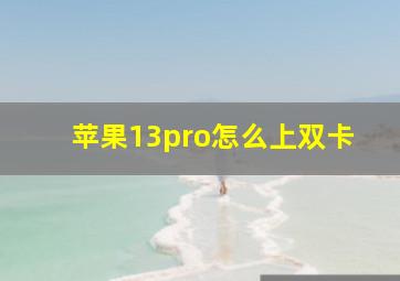 苹果13pro怎么上双卡