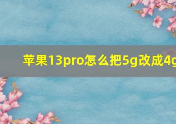 苹果13pro怎么把5g改成4g