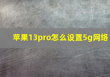 苹果13pro怎么设置5g网络